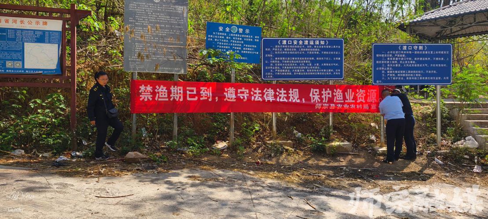 龙琴种菜网