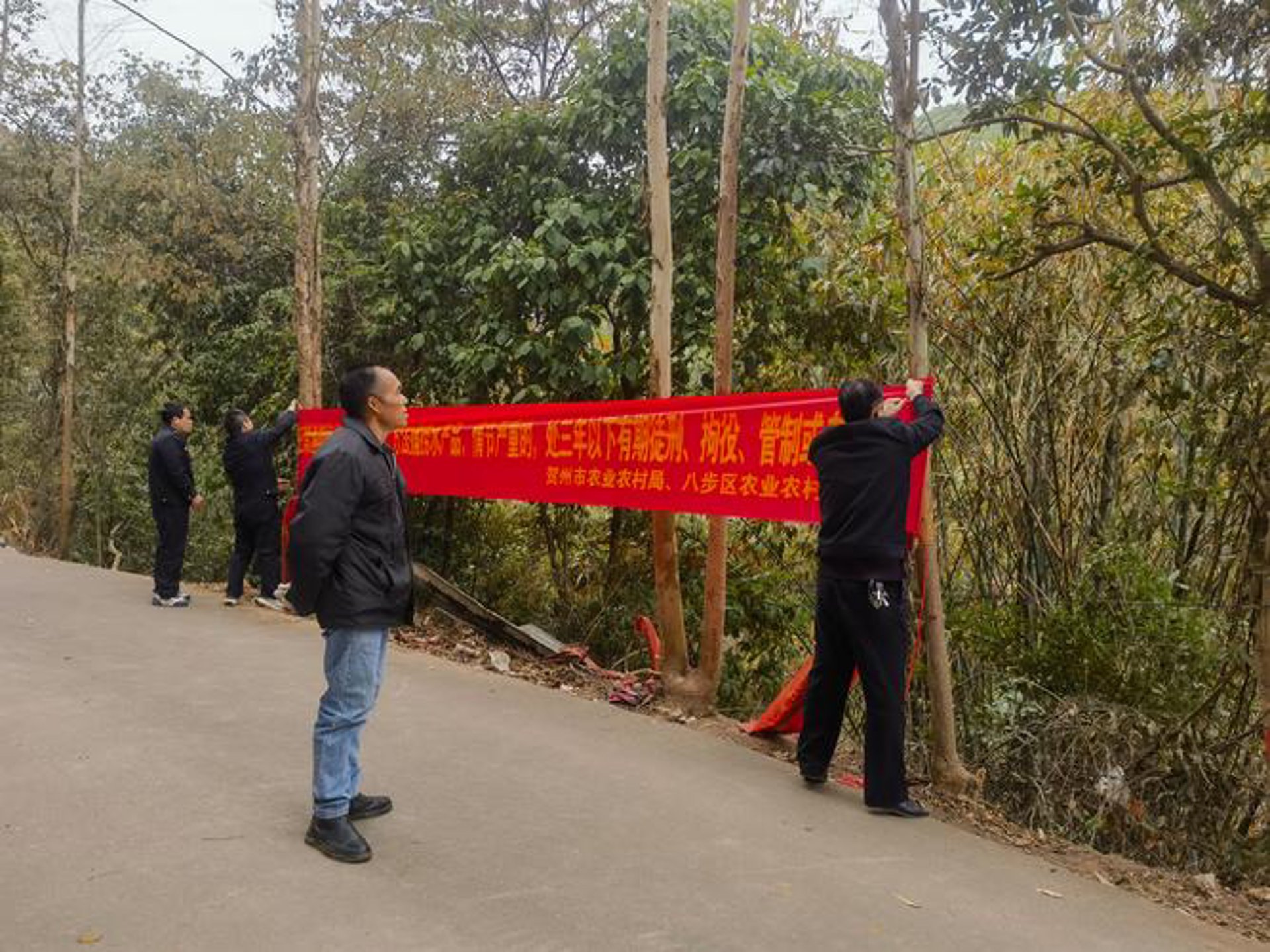 龙琴种菜网