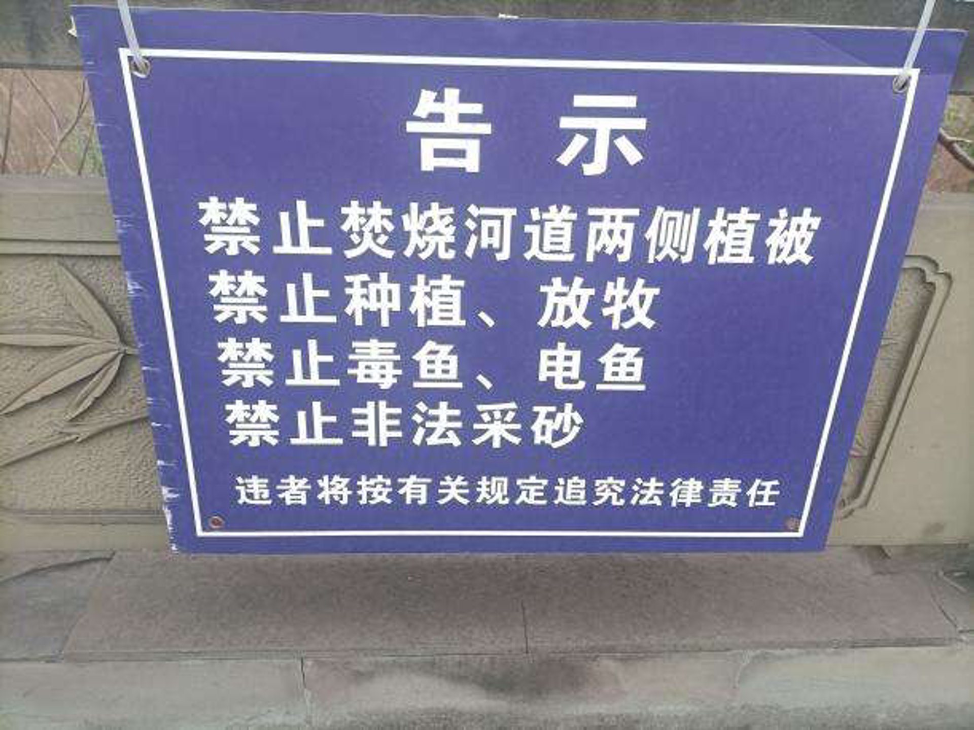 龙琴种菜网